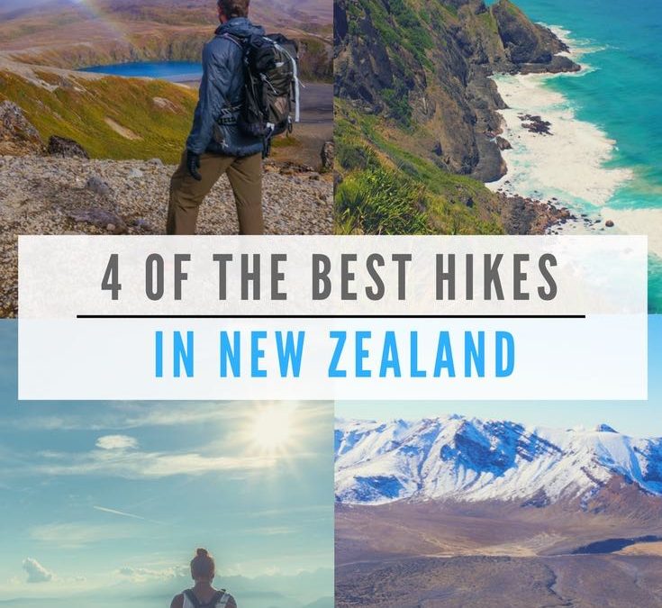 Hiking In New Zealand 4 Of The Best Hikes Backpackingman