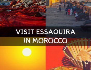 Explore The Seafood Paradise Of Essaouira In Morocco