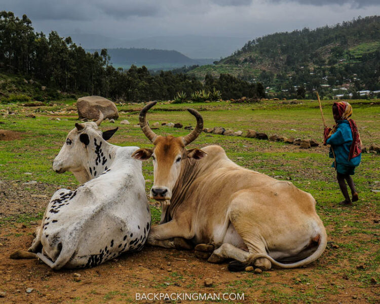 farming in axum ethiopia