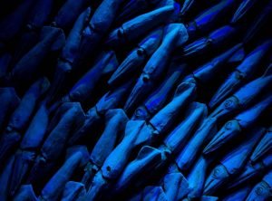 weird Japanese ice cream flavours squid ink