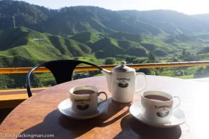 Cameron valley tea