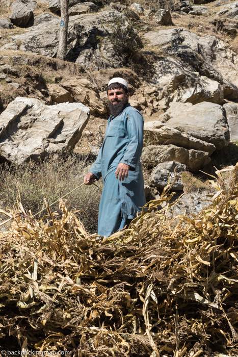harvest Kaghan Valley Pakistan
