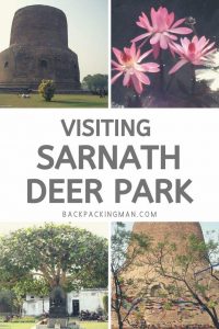 sarnath buddhism india travel
