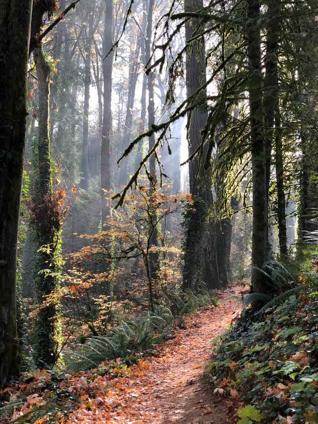 hiking near Portland Oregon