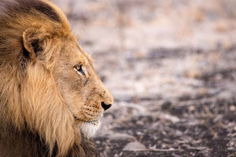 25 of The Cheapest Countries To Visit Backpackingman