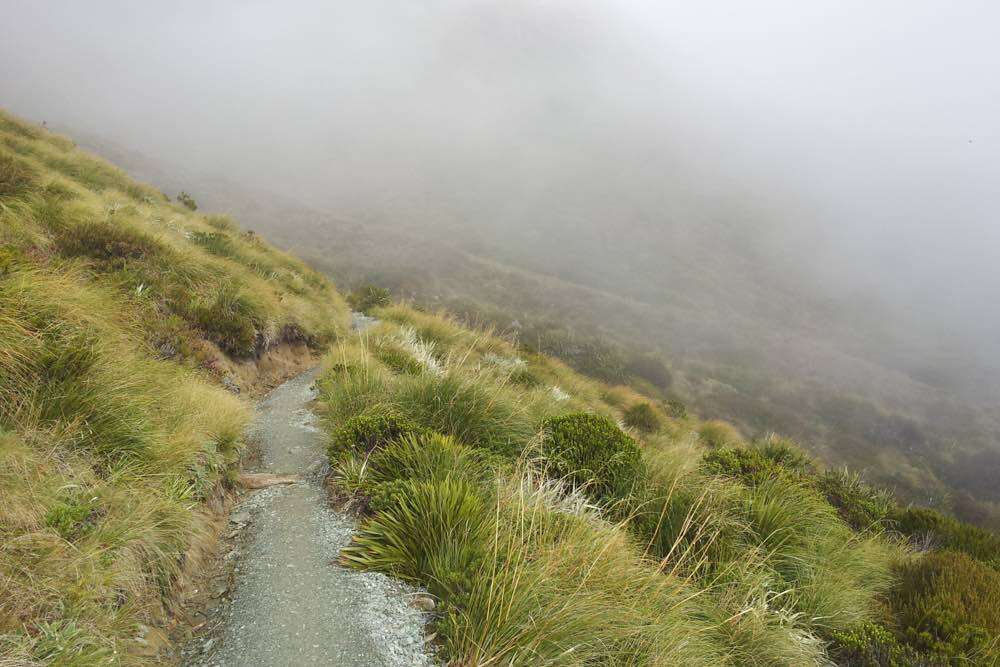 Misty hiking in New Zealand.