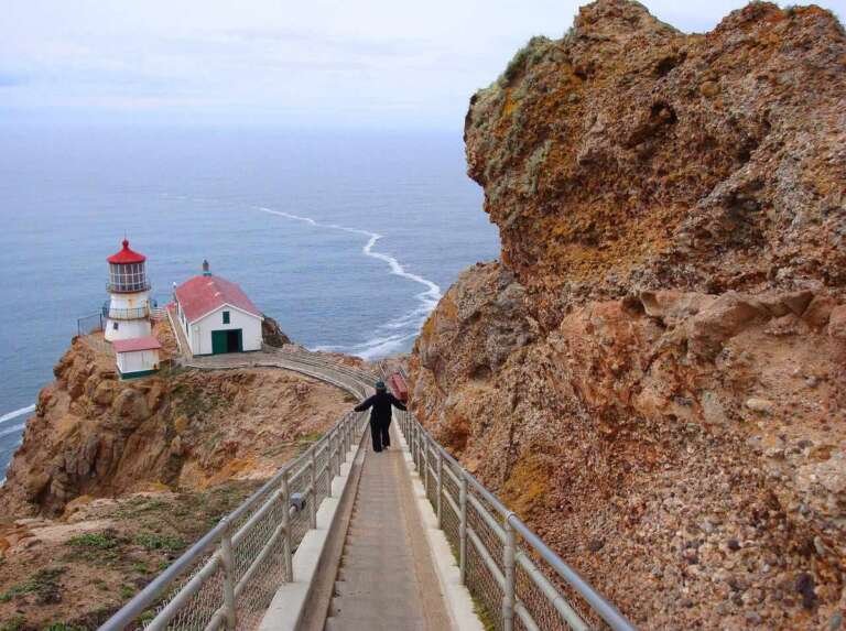 Point Reyes Lookout 10 Best Hikes In Point Reyes: From Forest to Shoreline - Backpackingman