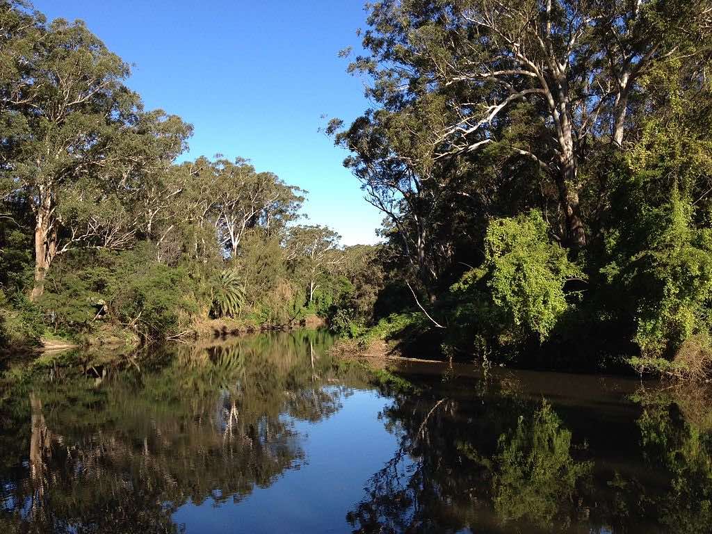 Central Coast bushwalks, river and trees.