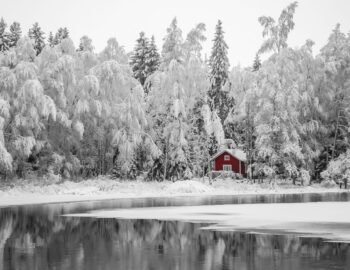 best documentaries about Finland