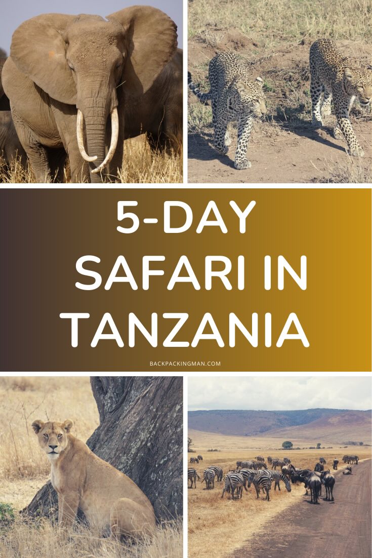 5 day safari tanzania cost
